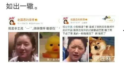 吃瓜吐槽娱乐圈文